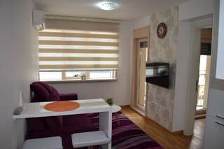 Апартаменты Mateja & Fontana Apartment Будва Апартаменты с 1 спальней-6